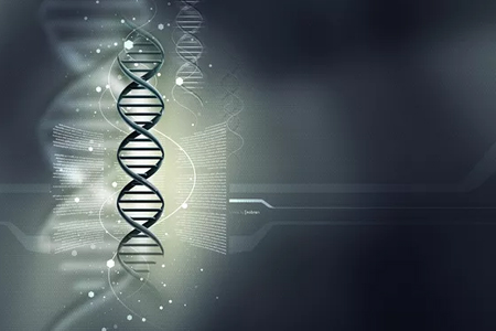 大连哪家有做dna