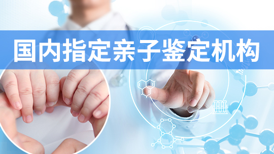 亲子鉴定