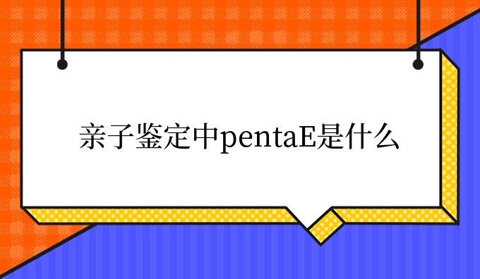 亲子鉴定中pentaE是什么