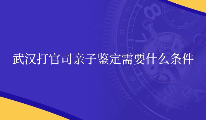 武汉打*司亲子鉴定需要什么条件