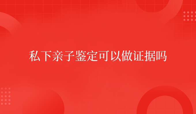 私下亲子鉴定可以做证据吗
