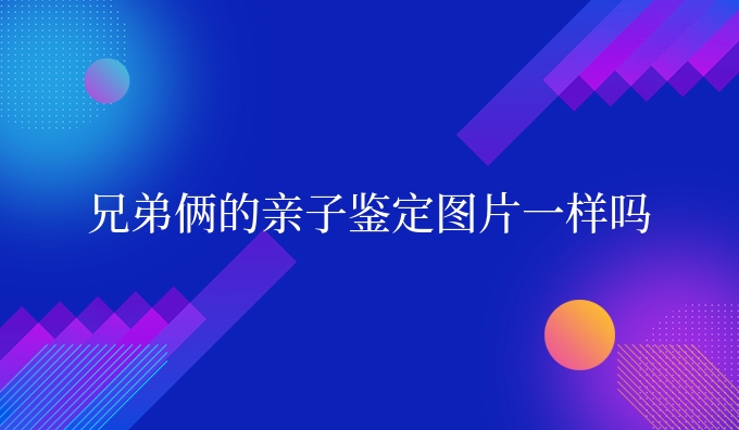 兄弟俩的亲子鉴定图片一样吗