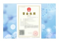 正规资质