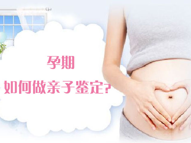 亲子鉴定 亲子鉴定