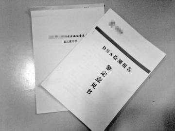 亲子鉴定 亲子鉴定
