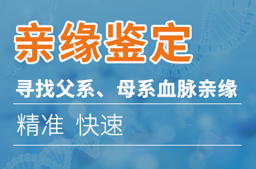 亲子鉴定 亲子鉴定
