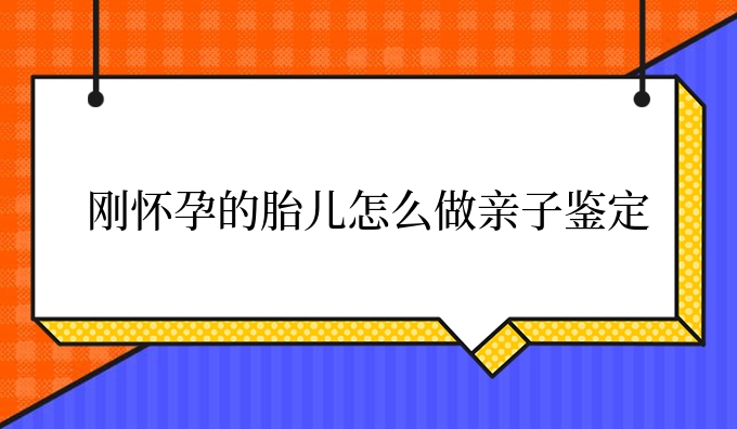 刚怀孕的胎儿怎么做亲子鉴定