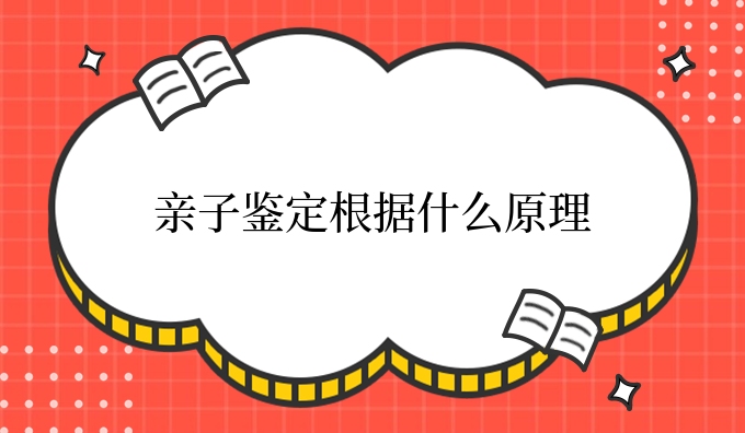 亲子鉴定根据什么原理