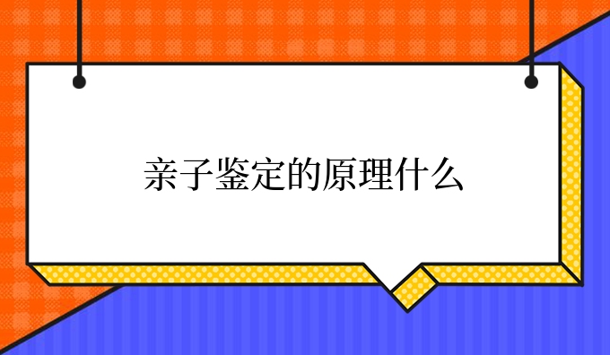 亲子鉴定的原理什么