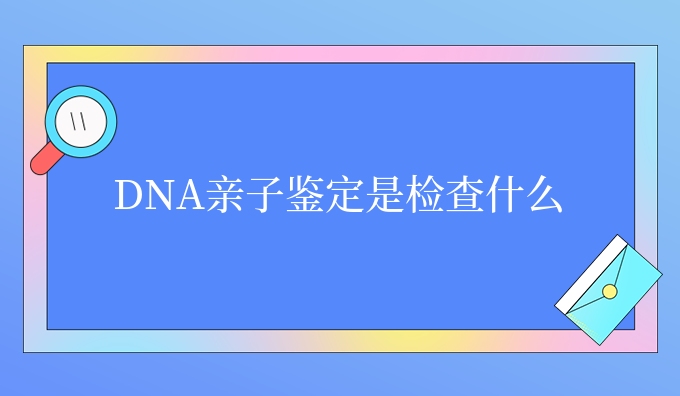 DNA亲子鉴定是检查什么