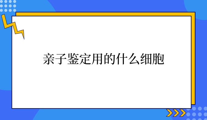 亲子鉴定用的什么细胞
