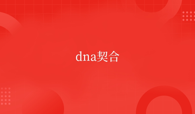 dna契合